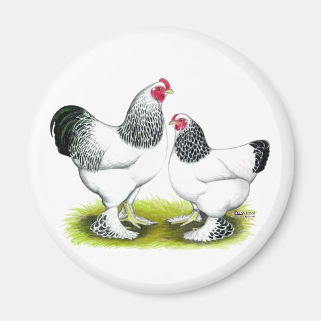 Brahma:  Light Magnet (Front)