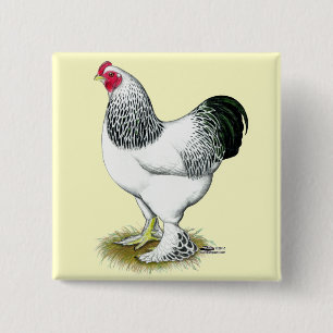 Brahma: Light Rooster 15 Cm Square Badge