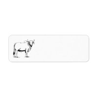 Brahman Cow