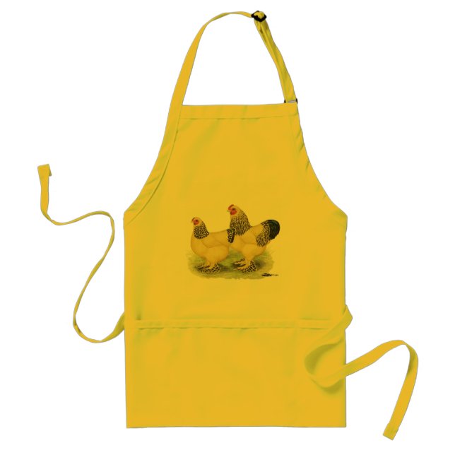 Brahmas:  Buff Bantams Standard Apron (Front)