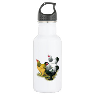 Brahmas Three Roosters 532 Ml Water Bottle