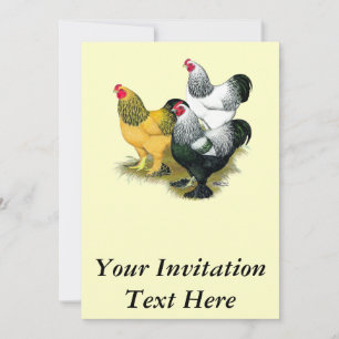 Brahmas Three Roosters Invitation