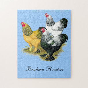 Brahmas Three Roosters Jigsaw Puzzle