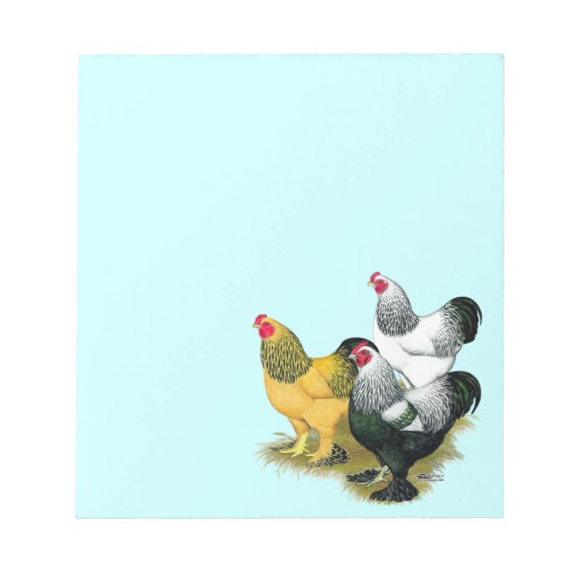 Brahmas Three Roosters Notepad (Front)