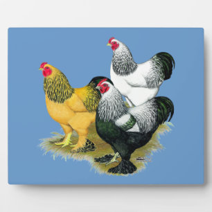 Brahmas Three Roosters Plaque