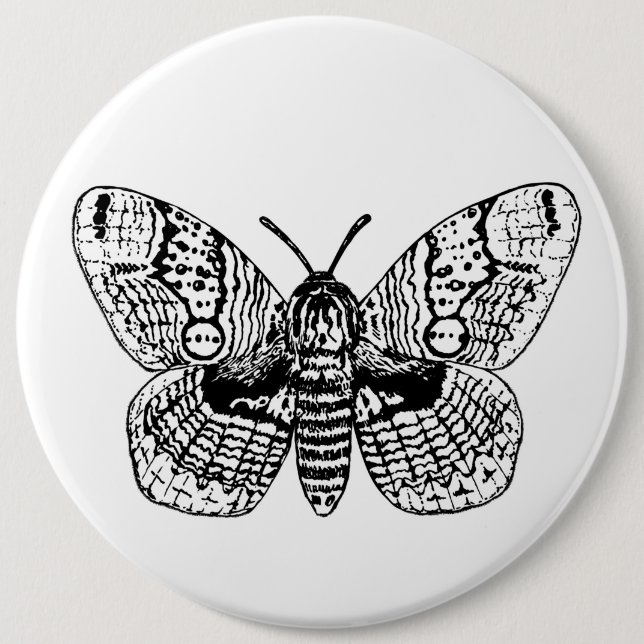 Brahmin moth drawing 6 cm round badge (Front)
