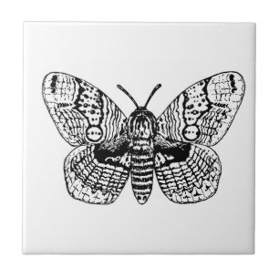 Brahmin moth drawing ceramic tile