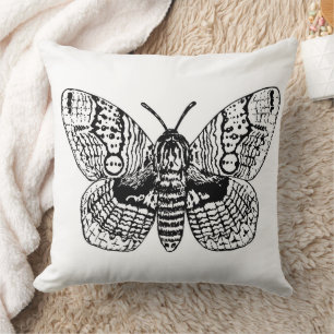 Brahmin moth drawing cushion