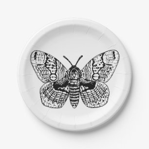 Brahmin moth drawing paper plate