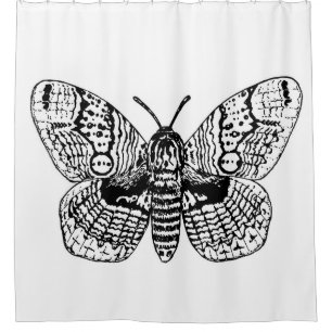 Brahmin moth drawing shower curtain