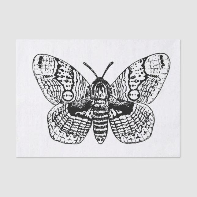 Brahmin moth drawing tissue paper (Front)