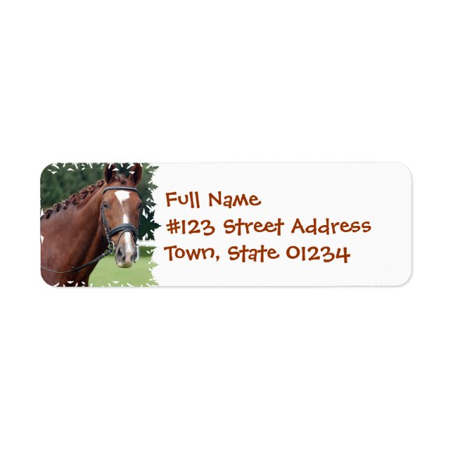 Braided Horse Mane Mailing Label Return Address Label (Front)
