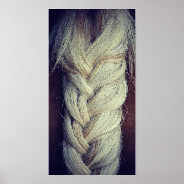 Braided Tail Poster (Front)