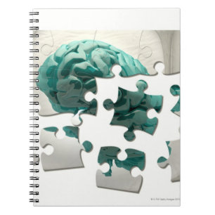 Brain analysis, conceptual computer artwork. notebook