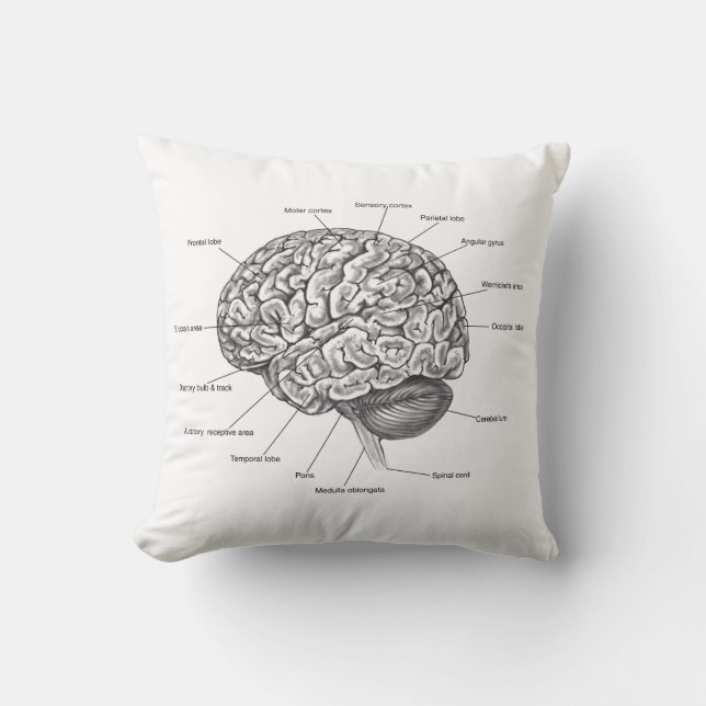Brain Anatomy Cushion (Front)