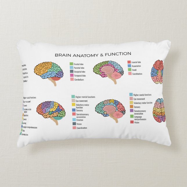 Brain Anatomy Decorative Cushion (Front)