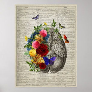 Brain Anatomy Flowers Hummingbird Butterflies  Poster