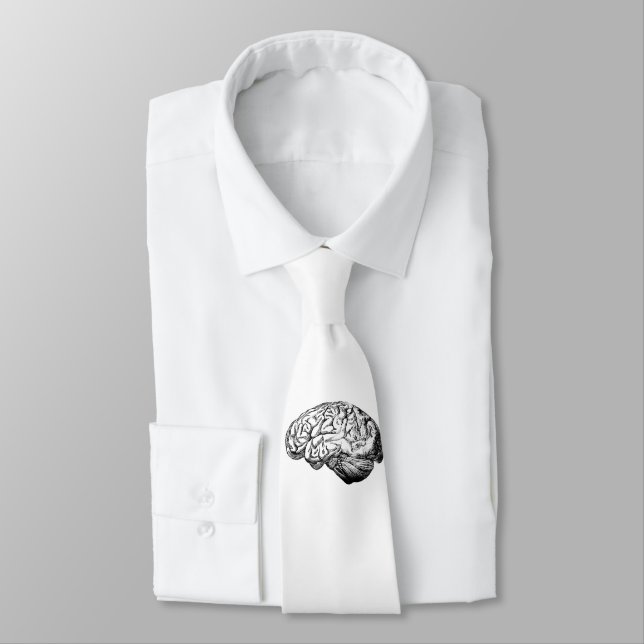Brain Anatomy Tie (Tied)
