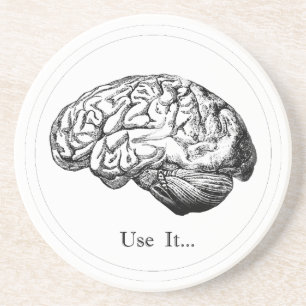Brain Anatomy - Use It Coaster