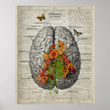 Brain Anatomy with Butterflies and Flowers