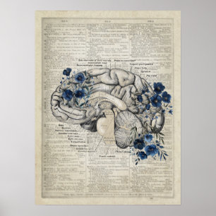 Brain Anatomy with Navy Blue Flowers Medical Art Poster