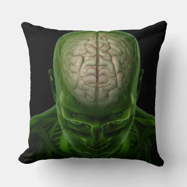 Brain Arteries Cushion (Front)