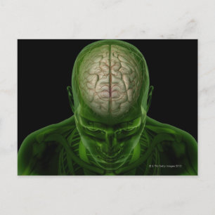 Brain Arteries Postcard