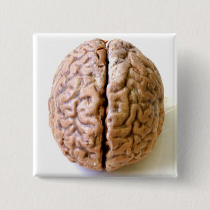 brain button