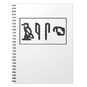Brain Hieroglyphics Notebook