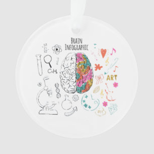 Brain Infographic Ornament