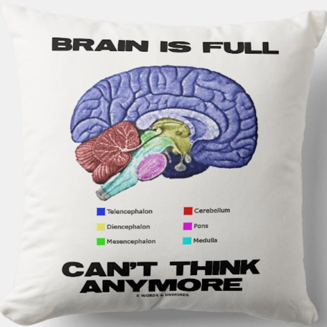 Brain Is Full Can't Think Anymore Anatomical Humou Cushion (Throw pillow for anyone who has a brain that is full and just can't think anymore)