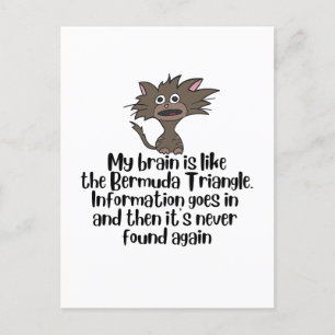 Brain like Bermuda Funny Crazy Cat Expression Postcard
