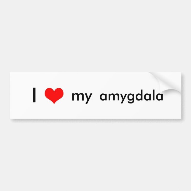 Brain love bumper sticker (Front)