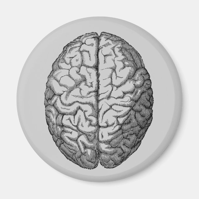 Brain Magnet (Front)