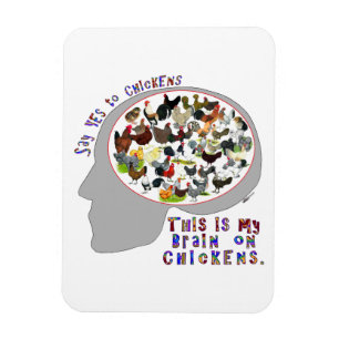 Brain On Chickens Magnet
