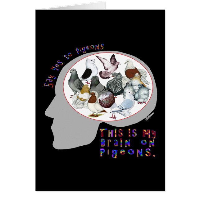 Brain On Pigeons (Front)
