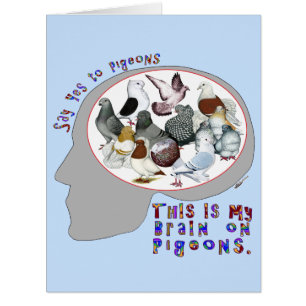 Brain On Pigeons