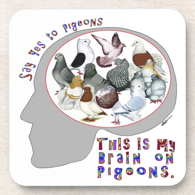 Brain On Pigeons Coaster (Front)