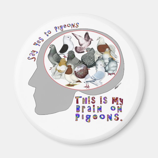 Brain On Pigeons Magnet (Front)