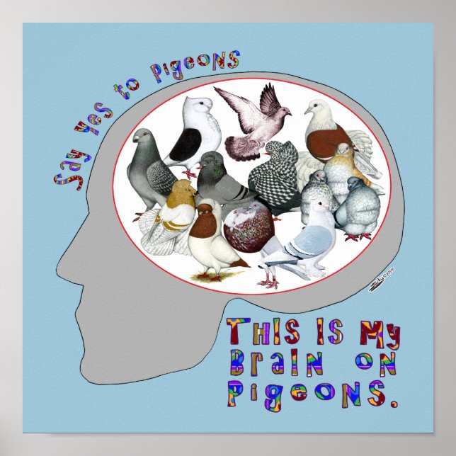Brain On Pigeons Poster (Front)