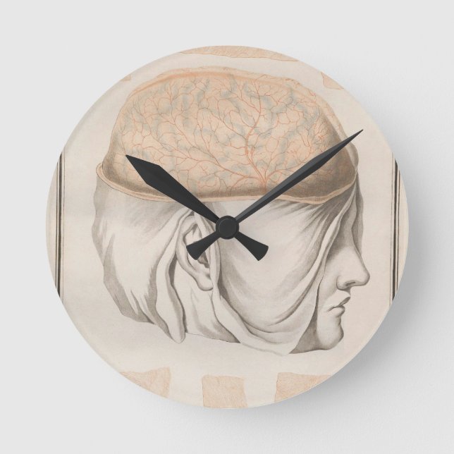 Brain One - Neuroanatomy Round Clock (Front)
