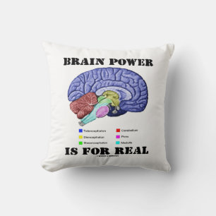 Brain Power Is For Real Brain Anatomy Attitude Cushion