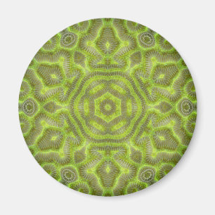 Brain Star Trilobite Magnet