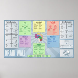 Brain Wall Poster