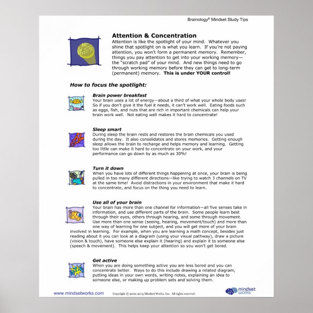 Brainology® Poster 3: Attention and Concentration (Front)