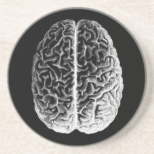 Brains! Coaster