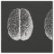 Brains!