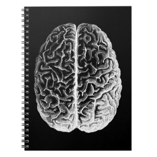 Brains! Notebook