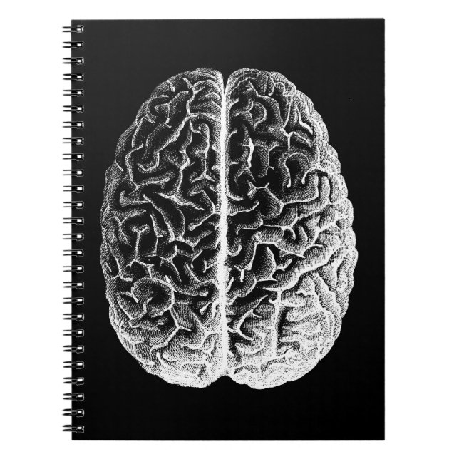 Brains! Notebook (Front)