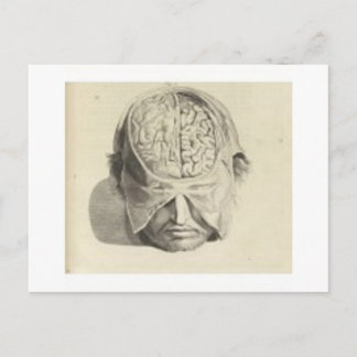 Brains Postcard